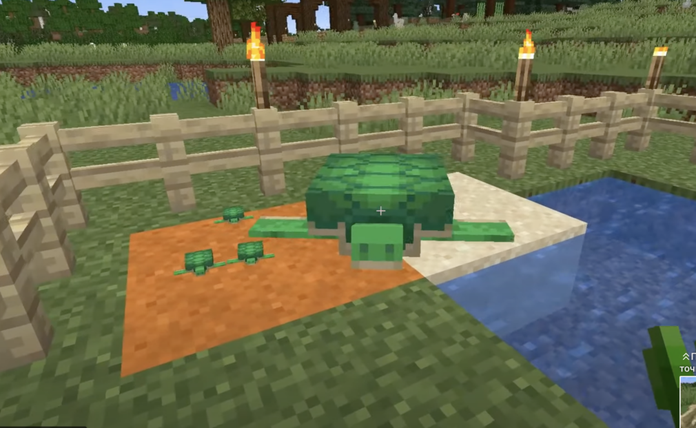How Long Do Turtle Eggs Take To Hatch Minecraft